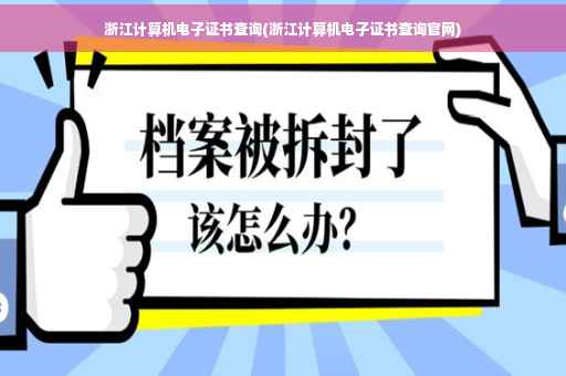 浙江计算机电子证书查询(浙江计算机电子证书查询官网)