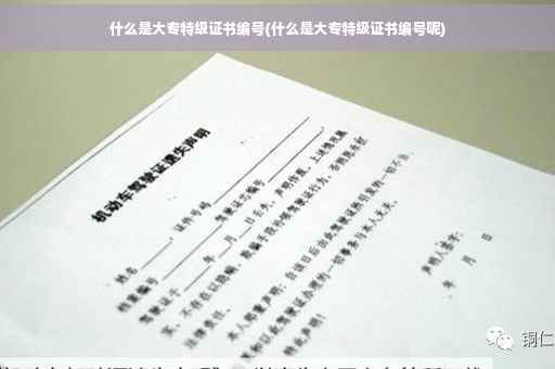 什么是大专特级证书编号(什么是大专特级证书编号呢)