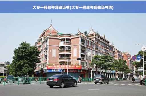 大专一般都考哪些证书(大专一般都考哪些证书呢)