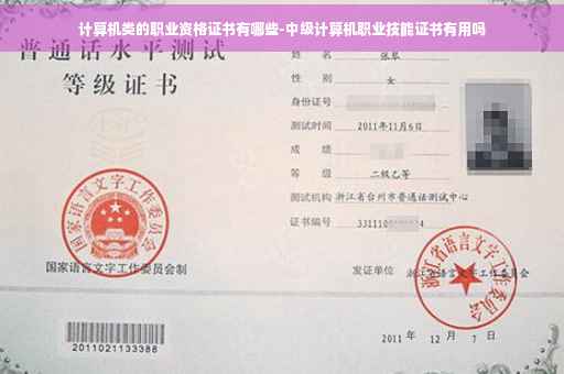 计算机类的职业资格证书有哪些-中级计算机职业技能证书有用吗