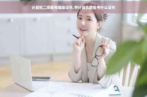 计算机二级都有哪些证书,学计算机能报考什么证书