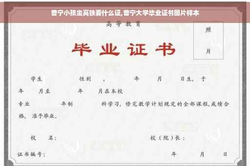 普宁小孩坐高铁要什么证,普宁大学毕业证书图片样本