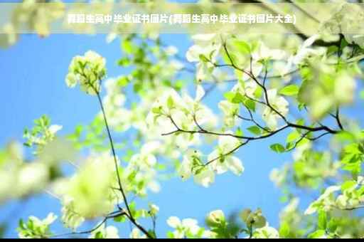舞蹈生高中毕业证书图片(舞蹈生高中毕业证书图片大全)