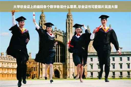 大学毕业证上的编码各个数字各是什么意思,毕业证书可爱图片高清大图