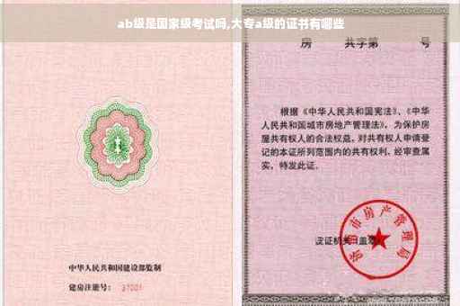 ab级是国家级考试吗,大专a级的证书有哪些