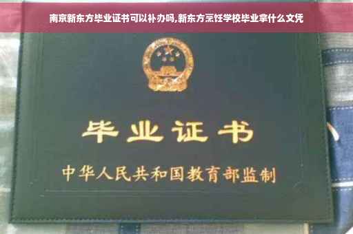 南京新东方毕业证书可以补办吗,新东方烹饪学校毕业拿什么文凭