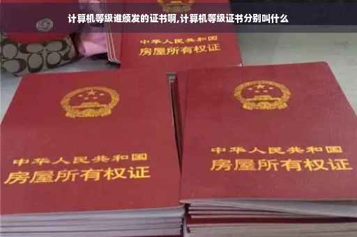 计算机等级谁颁发的证书啊,计算机等级证书分别叫什么