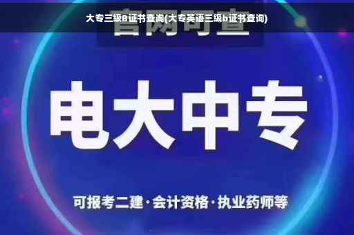 大专三级B证书查询(大专英语三级b证书查询)
