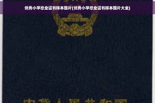 优秀小学毕业证书样本图片(优秀小学毕业证书样本图片大全)