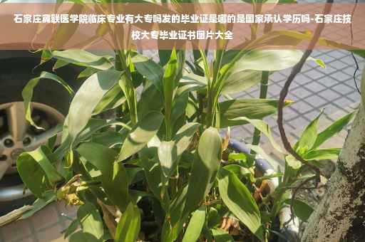 石家庄冀联医学院临床专业有大专吗发的毕业证是哪的是国家承认学历吗-石家庄技校大专毕业证书图片大全
