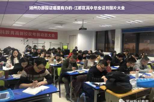 扬州办游园证哪里有办的-江都区高中毕业证书图片大全