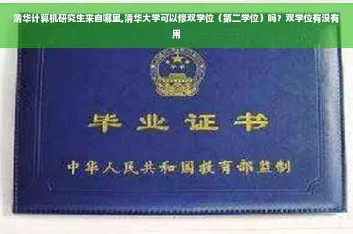 清华计算机研究生来自哪里,清华大学可以修双学位（第二学位）吗？双学位有没有用