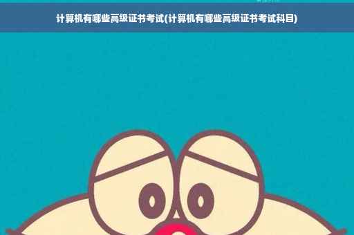 计算机有哪些高级证书考试(计算机有哪些高级证书考试科目)
