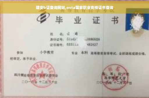 建安b证查询网站,osta国家职业资格证书查询