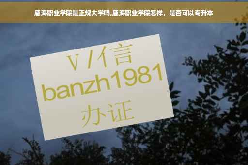 威海职业学院是正规大学吗,威海职业学院怎样，是否可以专升本
