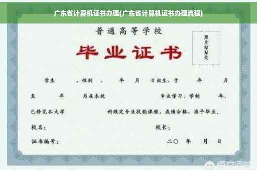 广东省计算机证书办理(广东省计算机证书办理流程)