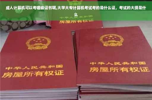 成人计算机可以考哪些证书呢,大学大专计算机考试考的是什么证，考试的大纲是什么