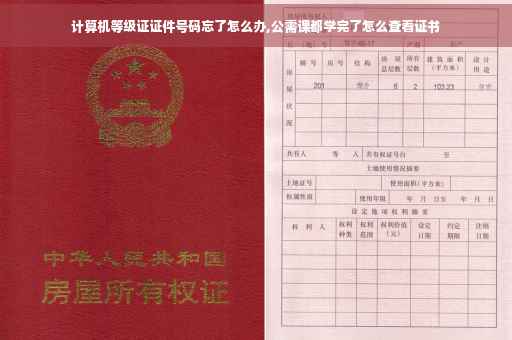 计算机等级证证件号码忘了怎么办,公需课都学完了怎么查看证书