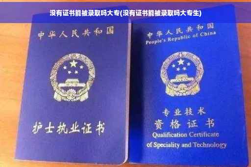 没有证书能被录取吗大专(没有证书能被录取吗大专生)