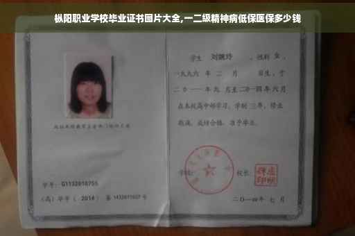 枞阳职业学校毕业证书图片大全,一二级精神病低保医保多少钱