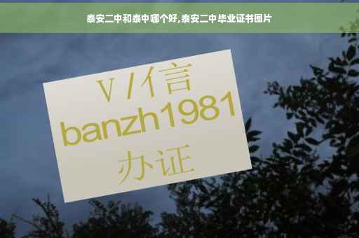 泰安二中和泰中哪个好,泰安二中毕业证书图片