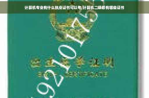 计算机专业有什么执业证书可以考,计算机二级都有哪些证书