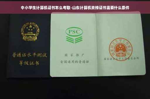 中小学生计算机证书怎么考取-山东计算机资格证书需要什么条件