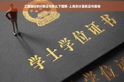 工商银行的U盾证书怎么下载啊-上海市计算机证书查询