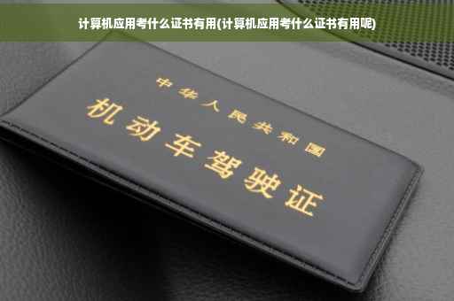 计算机应用考什么证书有用(计算机应用考什么证书有用呢)