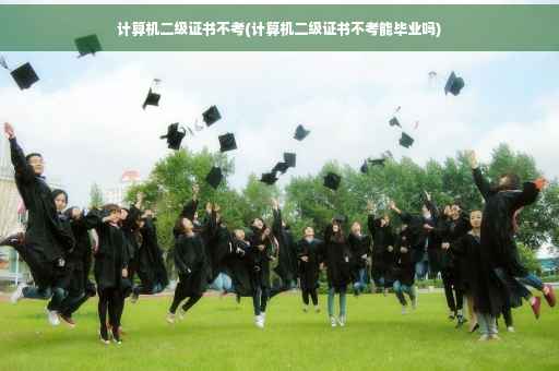 计算机二级证书不考(计算机二级证书不考能毕业吗)