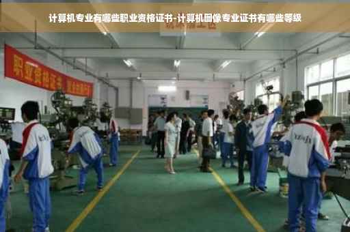 计算机专业有哪些职业资格证书-计算机图像专业证书有哪些等级