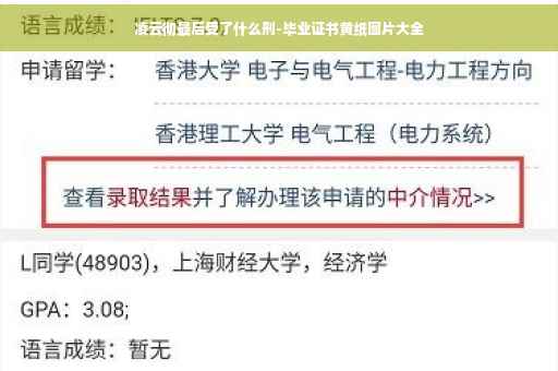 凌云彻最后受了什么刑-毕业证书黄纸图片大全
