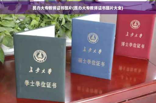 民办大专教师证书图片(民办大专教师证书图片大全)