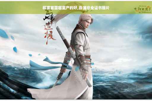 福建紫菜哪里产的好,霞浦毕业证书图片