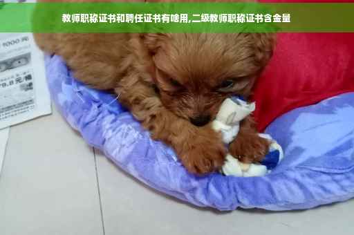 教师职称证书和聘任证书有啥用,二级教师职称证书含金量