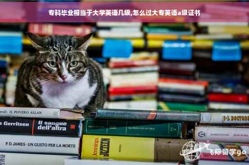 专科毕业相当于大学英语几级,怎么过大专英语a级证书