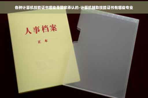 各种计算机技能证书哪些是国家承认的-计算机辅助技能证书有哪些专业