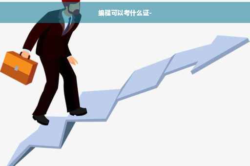 编程可以考什么证-