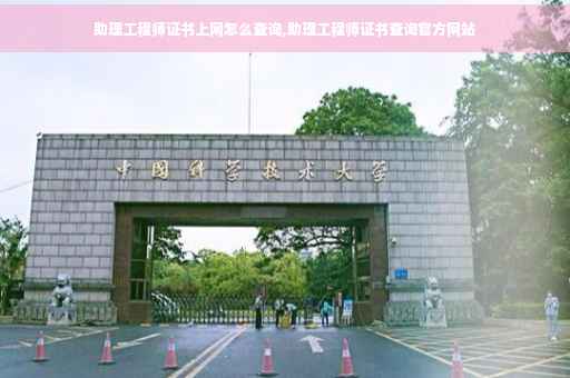 助理工程师证书上网怎么查询,助理工程师证书查询官方网站