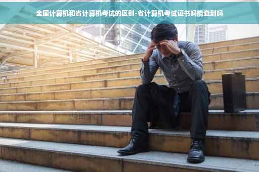 全国计算机和省计算机考试的区别-省计算机考试证书吗能查到吗