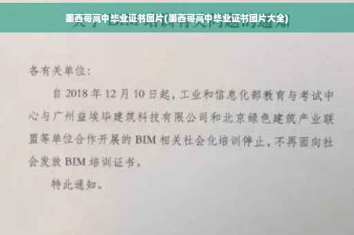 墨西哥高中毕业证书图片(墨西哥高中毕业证书图片大全)