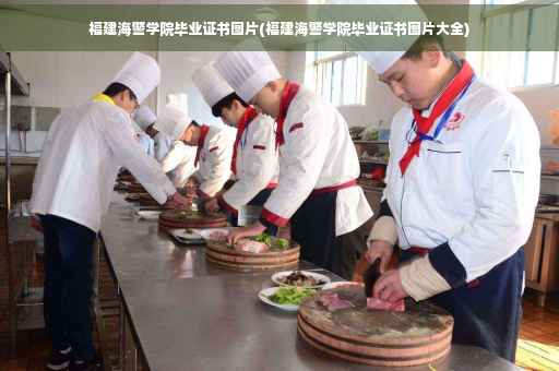 福建海警学院毕业证书图片(福建海警学院毕业证书图片大全)