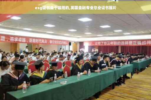 esg证书是干嘛用的,英国金融专业毕业证书图片