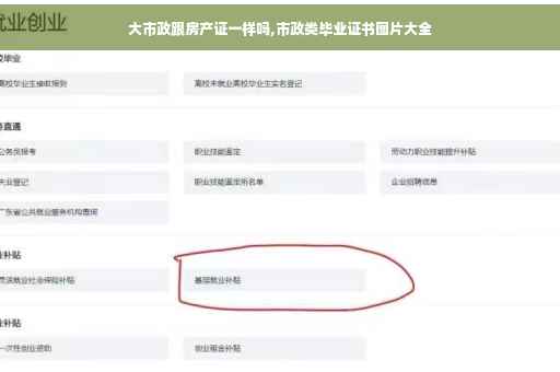 大市政跟房产证一样吗,市政类毕业证书图片大全