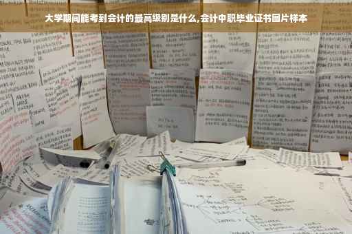 大学期间能考到会计的最高级别是什么,会计中职毕业证书图片样本