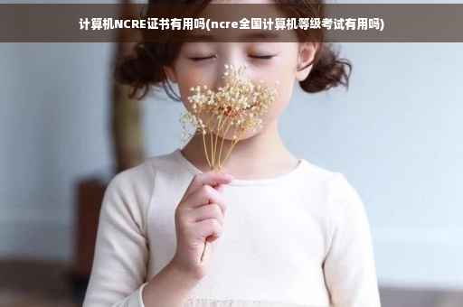 计算机NCRE证书有用吗(ncre全国计算机等级考试有用吗)