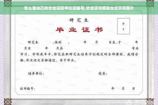 怎么查自己的毕业证和学位证编号,毕业证书颁发仪式示范图片