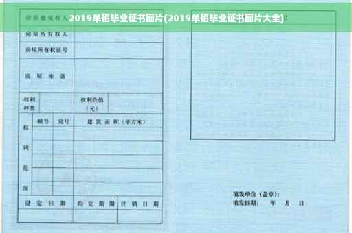 2019单招毕业证书图片(2019单招毕业证书图片大全)