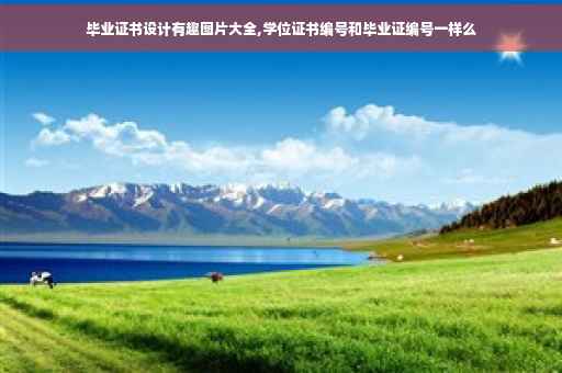 毕业证书设计有趣图片大全,学位证书编号和毕业证编号一样么