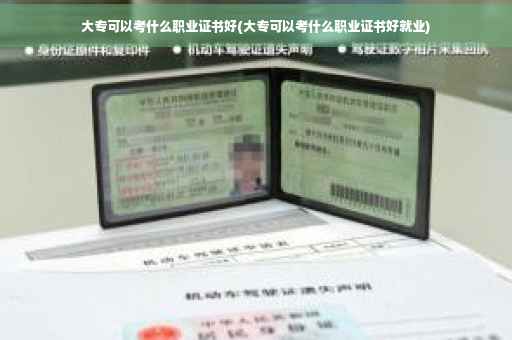 大专可以考什么职业证书好(大专可以考什么职业证书好就业)
